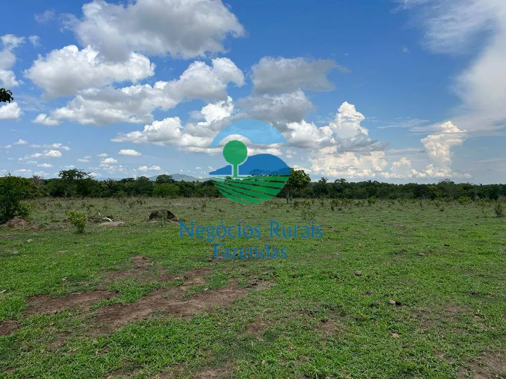 Fazenda à venda de 784 ha em Palmeirópolis, TO, Brasil