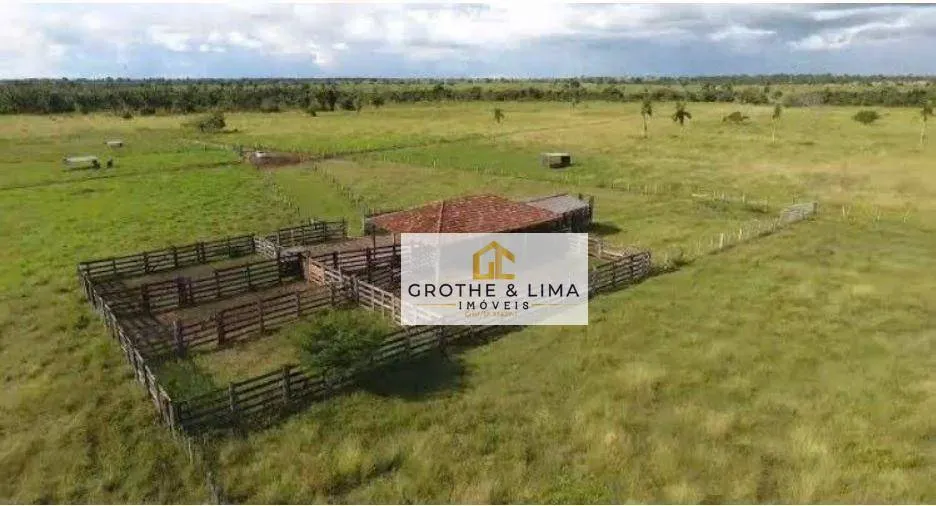 Fazenda à venda de 496 ha em Bernardo Sayão, TO, Brasil