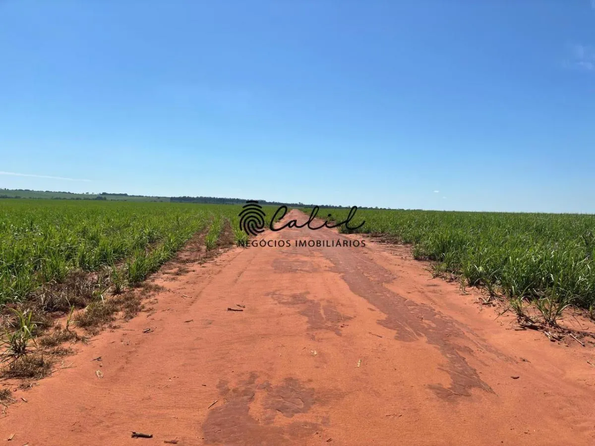 Fazenda à venda de 955 ha em Torrinha, SP, Brasil