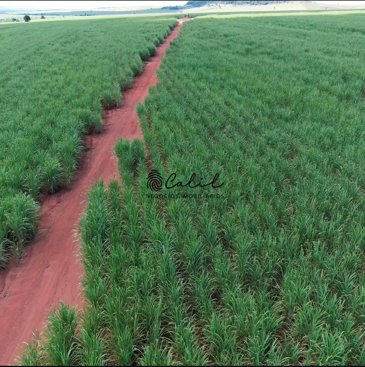Fazenda à venda de 955 ha em Torrinha, SP, Brasil