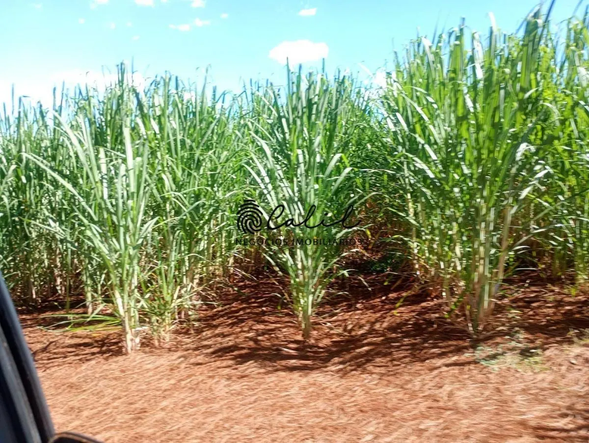 Fazenda à venda de 955 ha em Torrinha, SP, Brasil