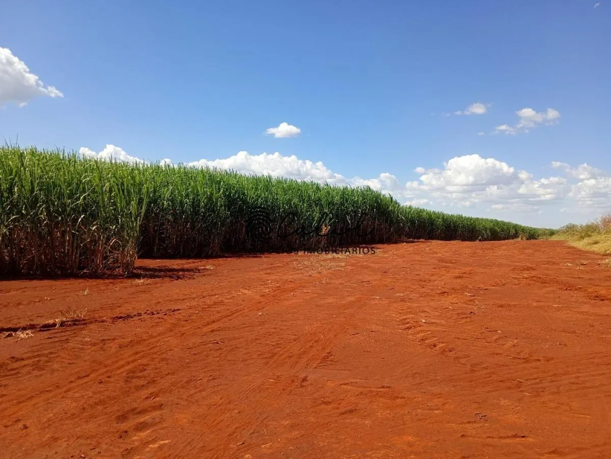 Fazenda à venda de 955 ha em Torrinha, SP, Brasil