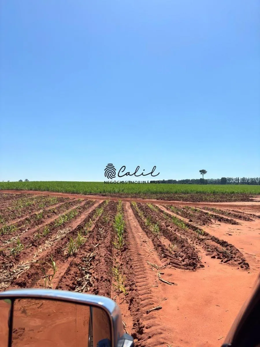 Fazenda à venda de 955 ha em Torrinha, SP, Brasil