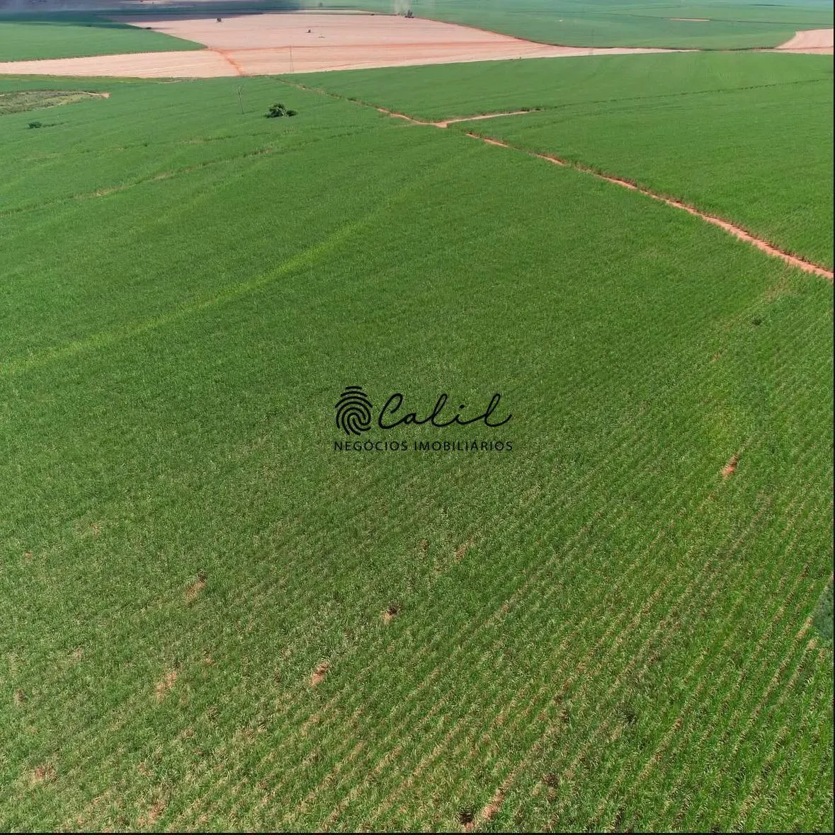 Fazenda à venda de 955 ha em Torrinha, SP, Brasil