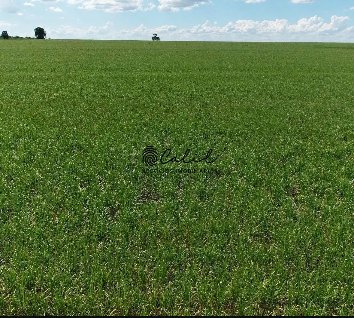 Fazenda à venda de 955 ha em Torrinha, SP, Brasil