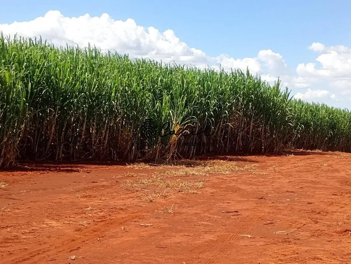 Fazenda à venda de 955 ha em Torrinha, SP, Brasil