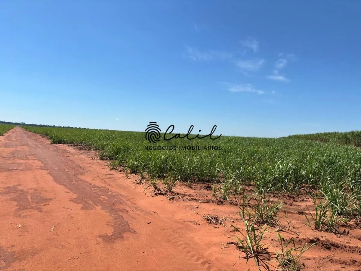 Fazenda à venda de 955 ha em Torrinha, SP, Brasil