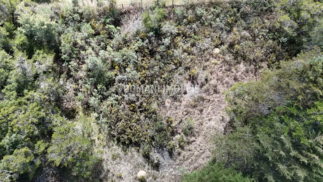 Plot for sale of 1,010 m² in Campos do Jordão, SP, Brazil