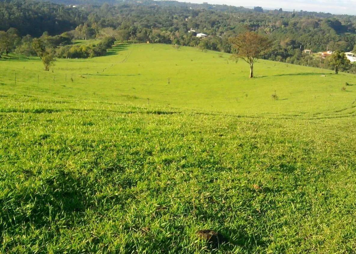 Fazenda à venda de 250.000 ha em Itupeva, SP, Brasil
