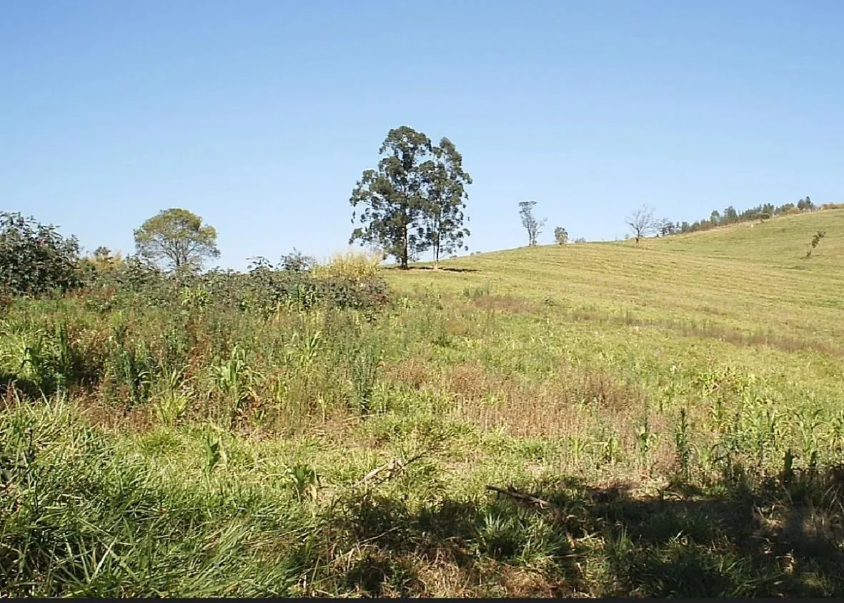 Fazenda à venda de 250.000 ha em Itupeva, SP, Brasil