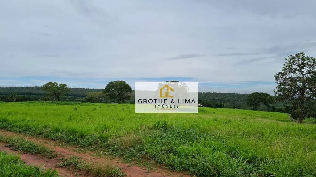 Fazenda à venda de 1.021 ha em Lagoa da Confusão, TO, Brasil