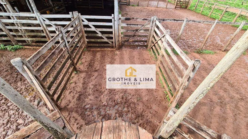 Fazenda à venda de 1.021 ha em Lagoa da Confusão, TO, Brasil