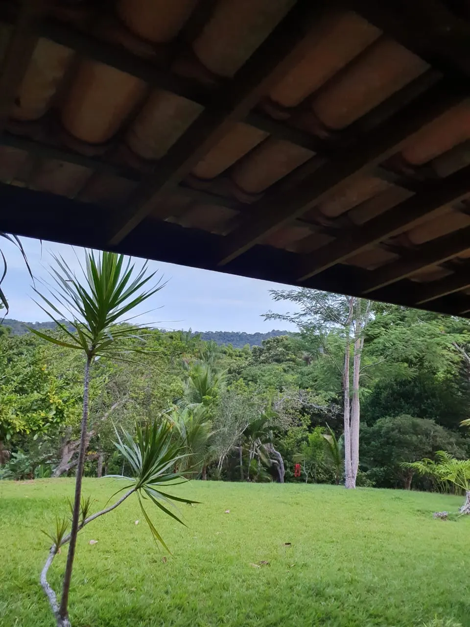 Ilha à venda de 1 ha em Ilhéus, BA, Brasil