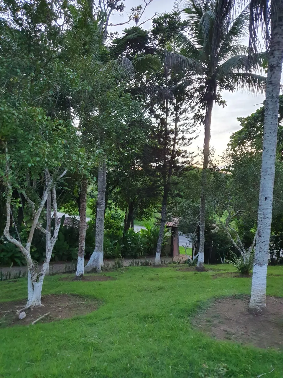 Ilha à venda de 1 ha em Ilhéus, BA, Brasil