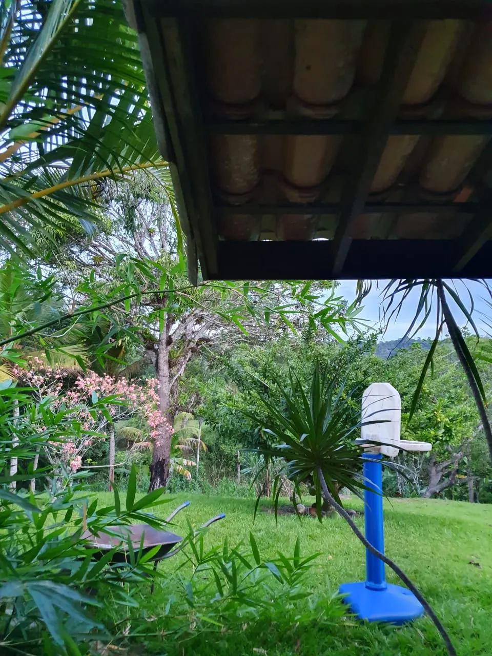 Ilha à venda de 1 ha em Ilhéus, BA, Brasil