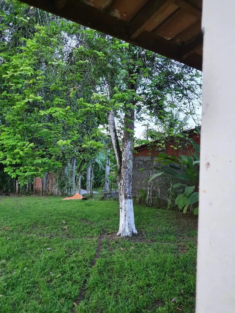 Ilha à venda de 1 ha em Ilhéus, BA, Brasil