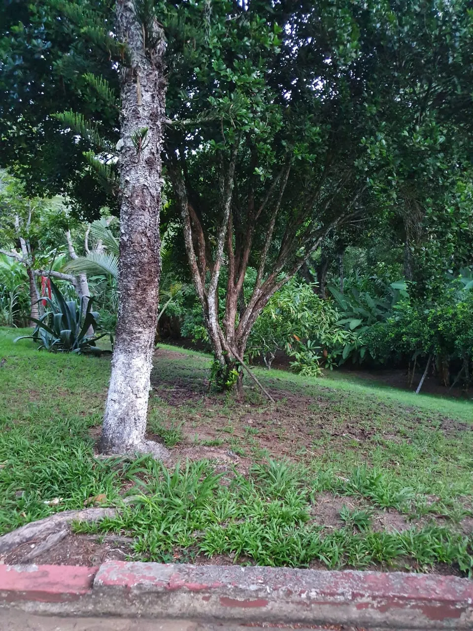 Ilha à venda de 1 ha em Ilhéus, BA, Brasil