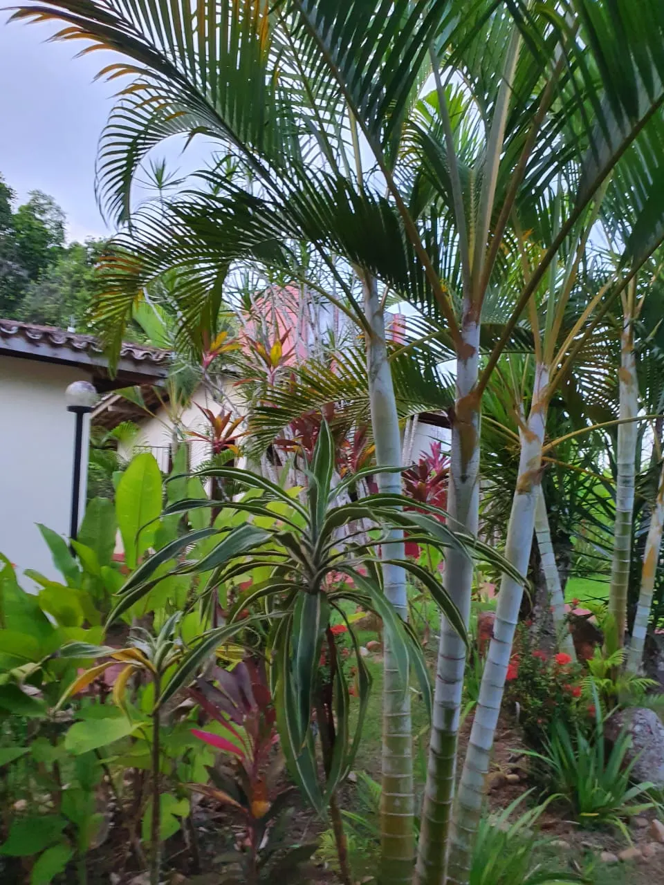 Ilha à venda de 1 ha em Ilhéus, BA, Brasil