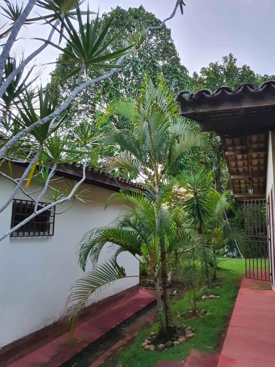 Ilha à venda de 1 ha em Ilhéus, BA, Brasil
