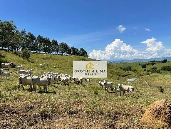Farm for sale of 610 acres in Cachoeira Paulista, SP, Brazil