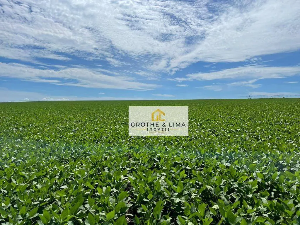 Fazenda à venda de 15.000 ha em Itiquira, MT, Brasil
