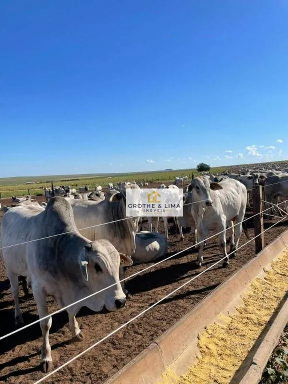 Fazenda à venda de 15.000 ha em Itiquira, MT, Brasil