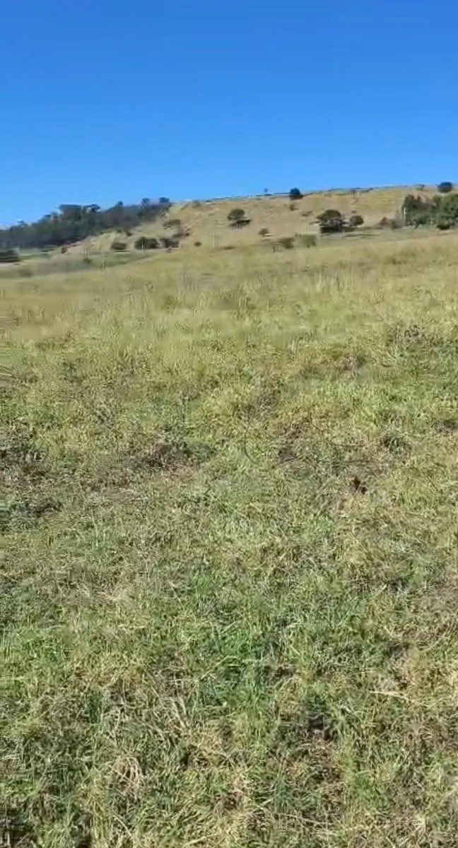 Fazenda à venda de 217 ha em Cajuru, SP, Brasil