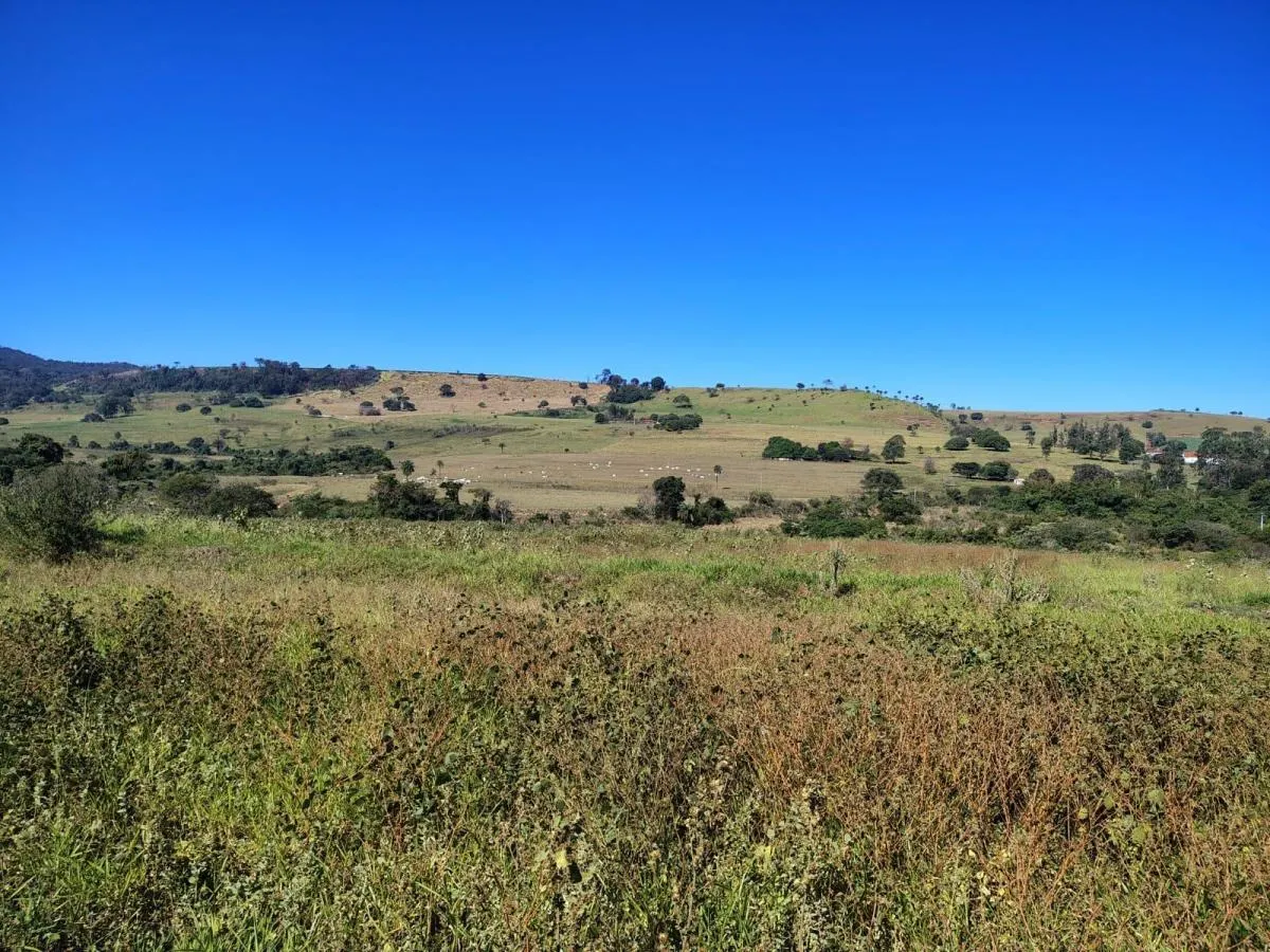 Fazenda à venda de 217 ha em Cajuru, SP, Brasil