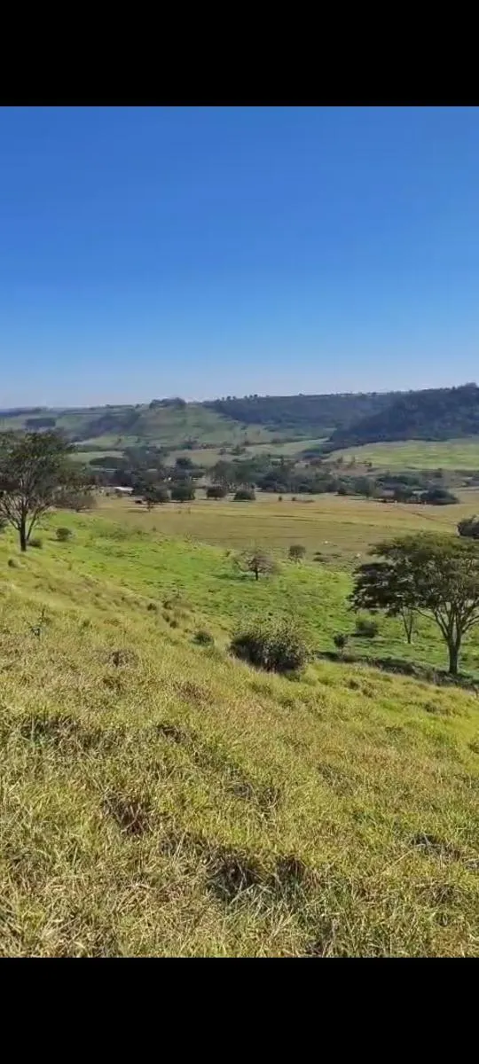 Fazenda à venda de 217 ha em Cajuru, SP, Brasil