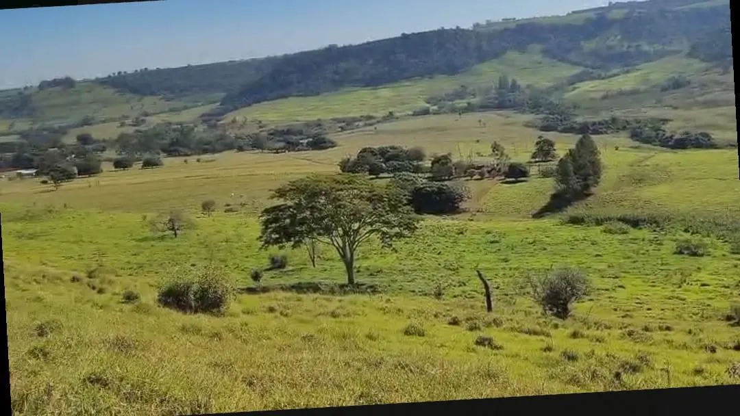 Fazenda à venda de 217 ha em Cajuru, SP, Brasil