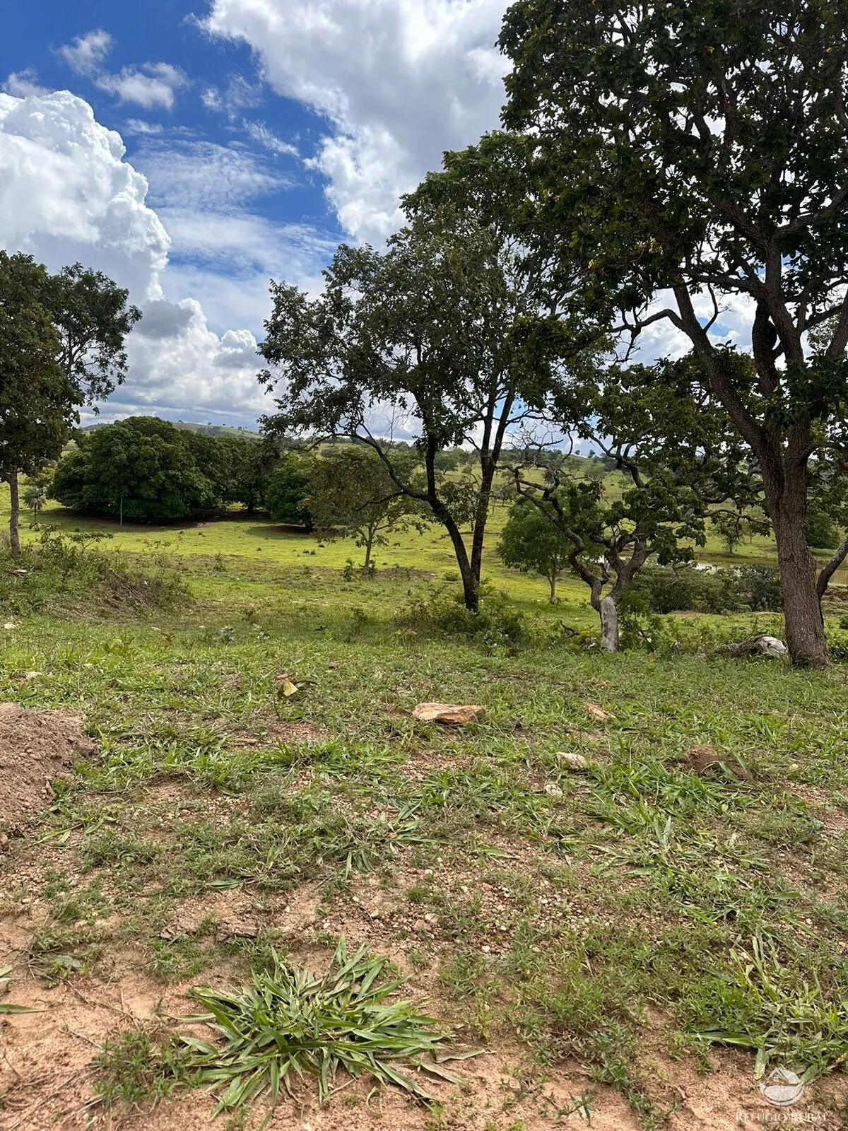 Fazenda à venda de 1.468 ha em Vila Propício, GO, Brasil