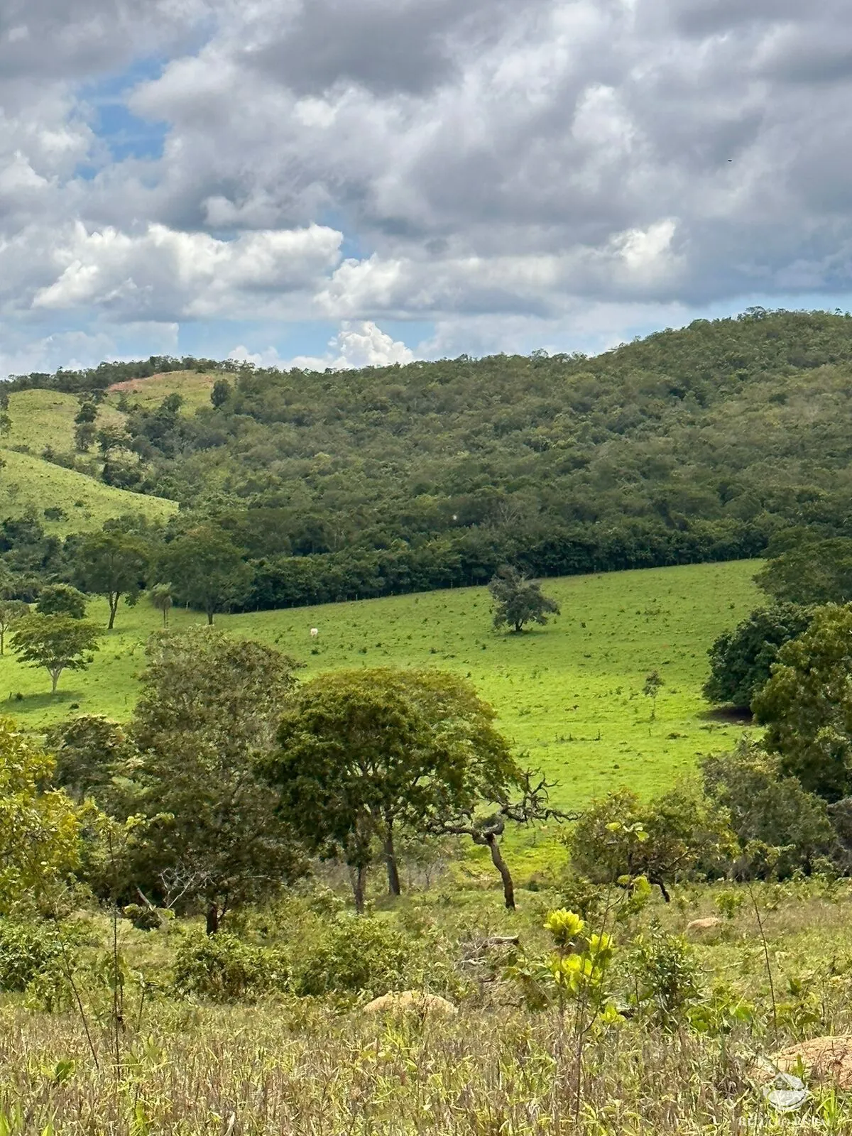 Fazenda à venda de 1.468 ha em Vila Propício, GO, Brasil