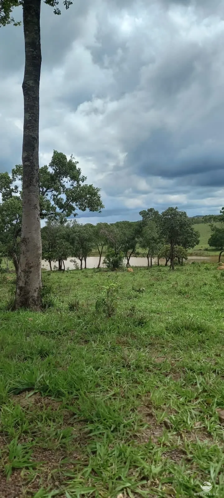 Fazenda à venda de 1.468 ha em Vila Propício, GO, Brasil