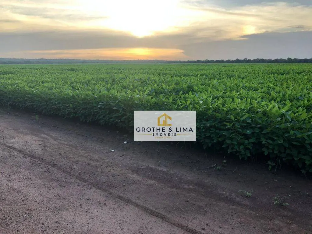 Fazenda à venda de 4.800 ha em Balsas, MA, Brasil