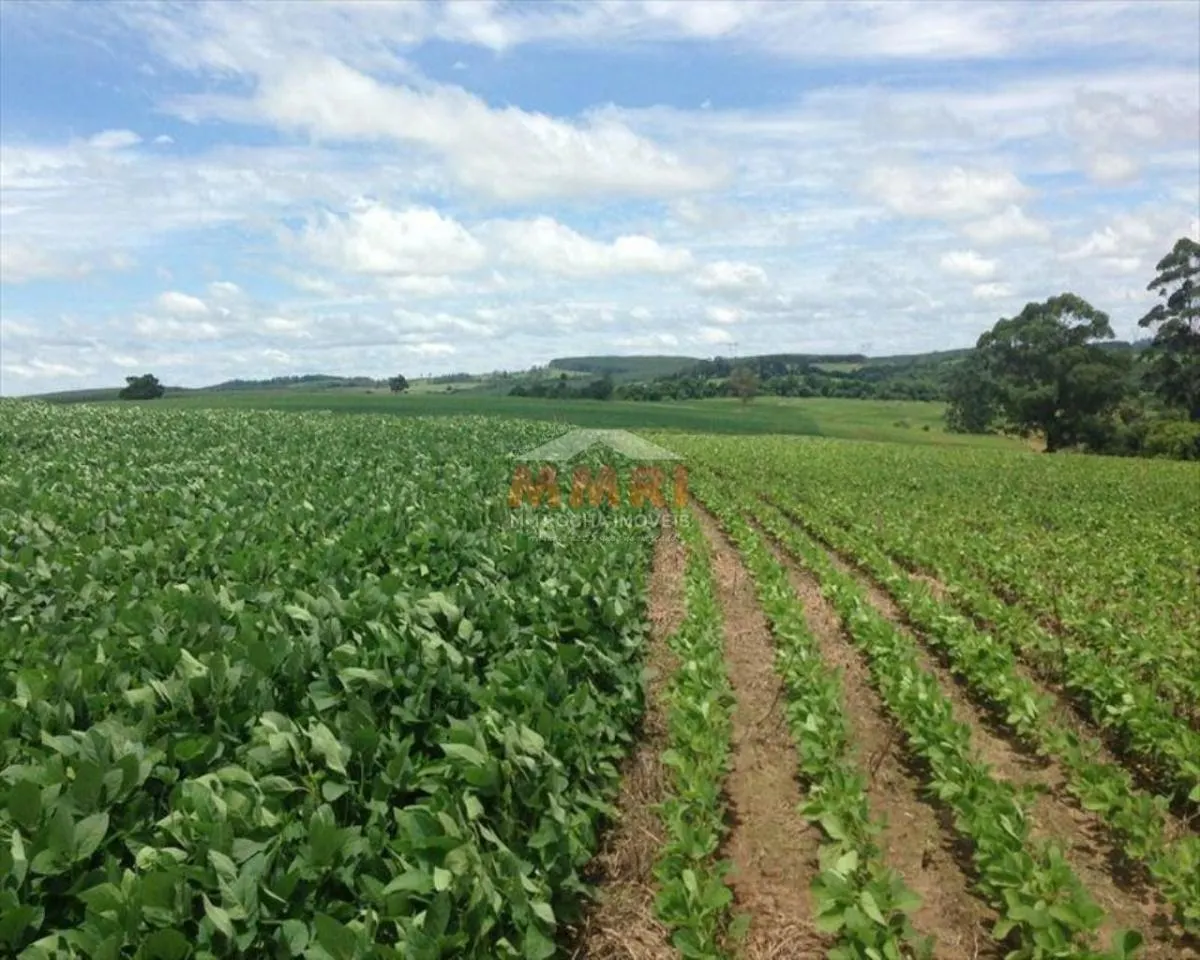 Fazenda à venda de 150 ha em Itapetininga, SP, Brasil