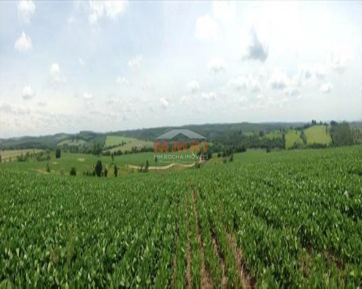 Fazenda à venda de 150 ha em Itapetininga, SP, Brasil