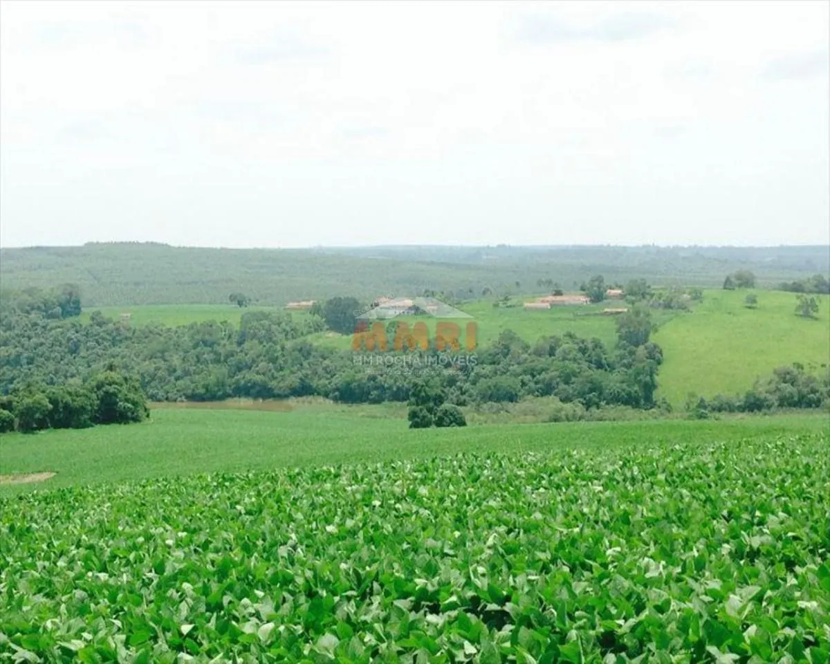 Fazenda à venda de 150 ha em Itapetininga, SP, Brasil