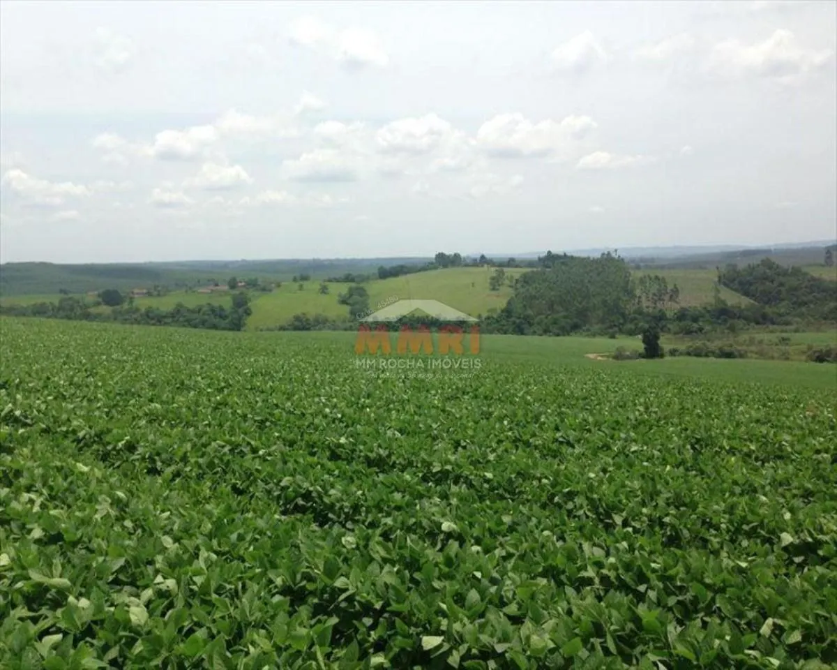 Fazenda à venda de 150 ha em Itapetininga, SP, Brasil