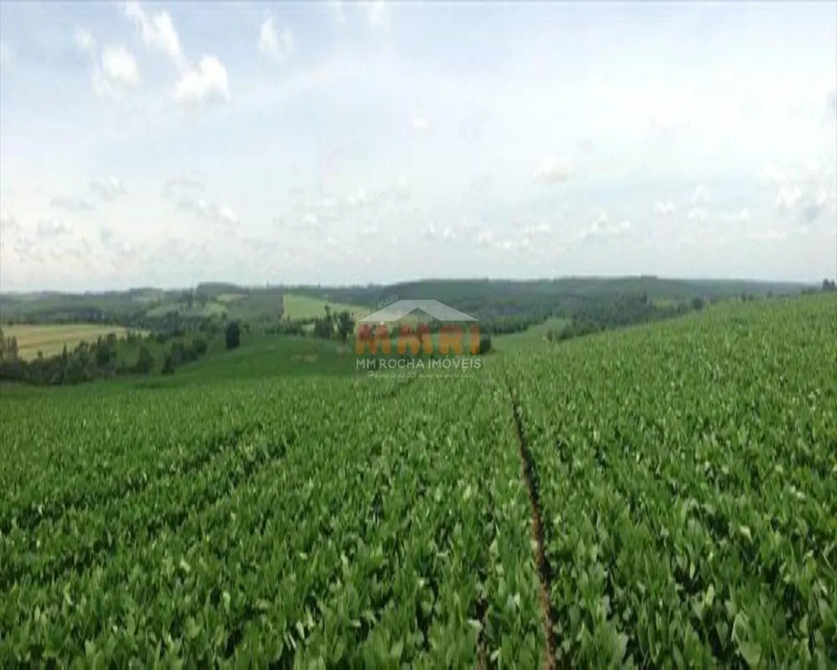 Fazenda à venda de 150 ha em Itapetininga, SP, Brasil