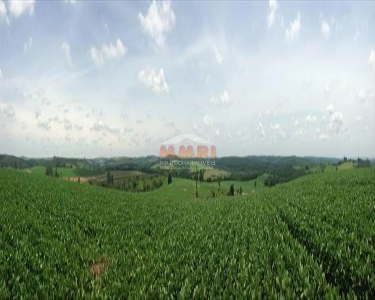 Fazenda à venda de 150 ha em Itapetininga, SP, Brasil