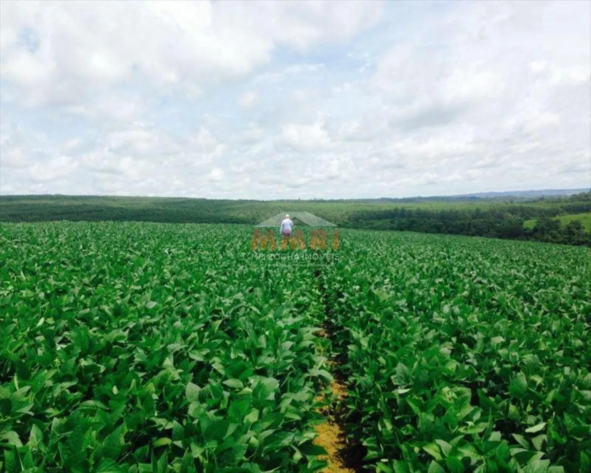 Fazenda à venda de 150 ha em Itapetininga, SP, Brasil