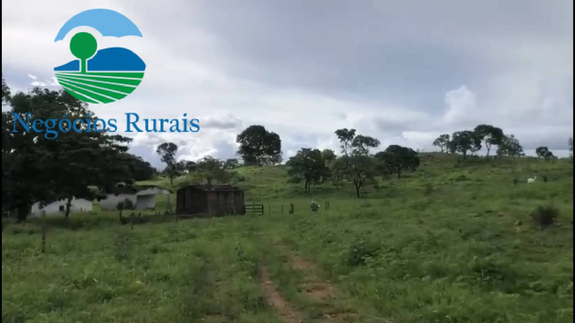 Fazenda à venda de 208 ha em Nova Iguaçu de Goiás, GO, Brasil