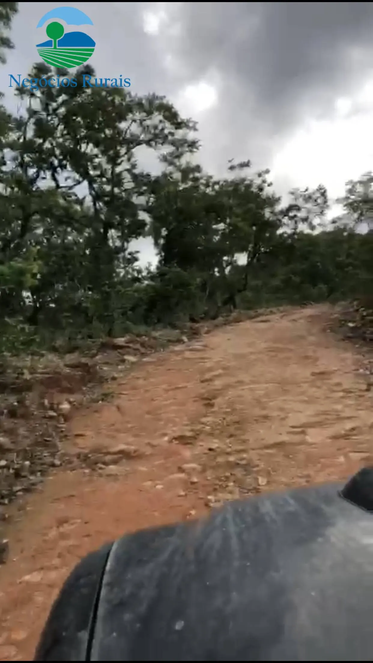 Fazenda à venda de 208 ha em Nova Iguaçu de Goiás, GO, Brasil
