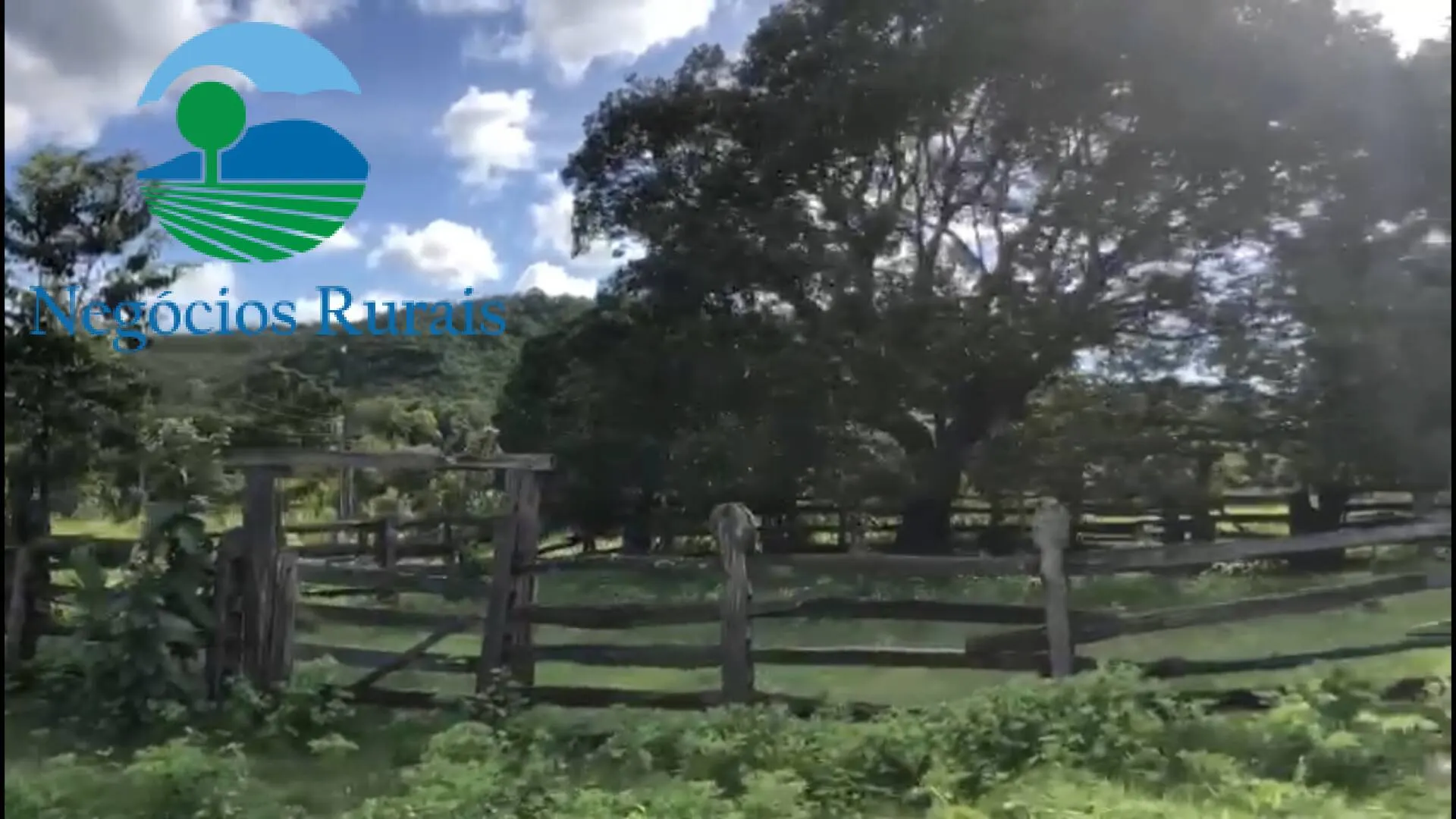 Fazenda à venda de 208 ha em Nova Iguaçu de Goiás, GO, Brasil