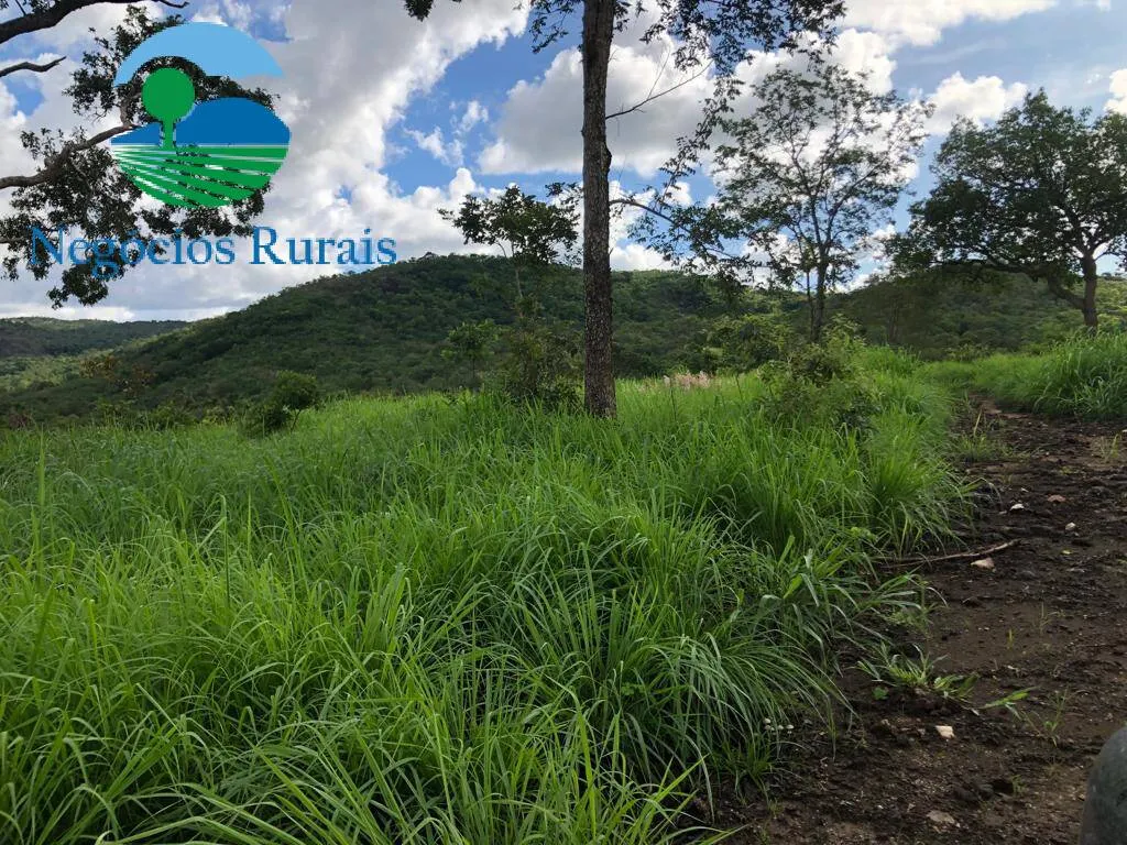 Fazenda à venda de 208 ha em Nova Iguaçu de Goiás, GO, Brasil