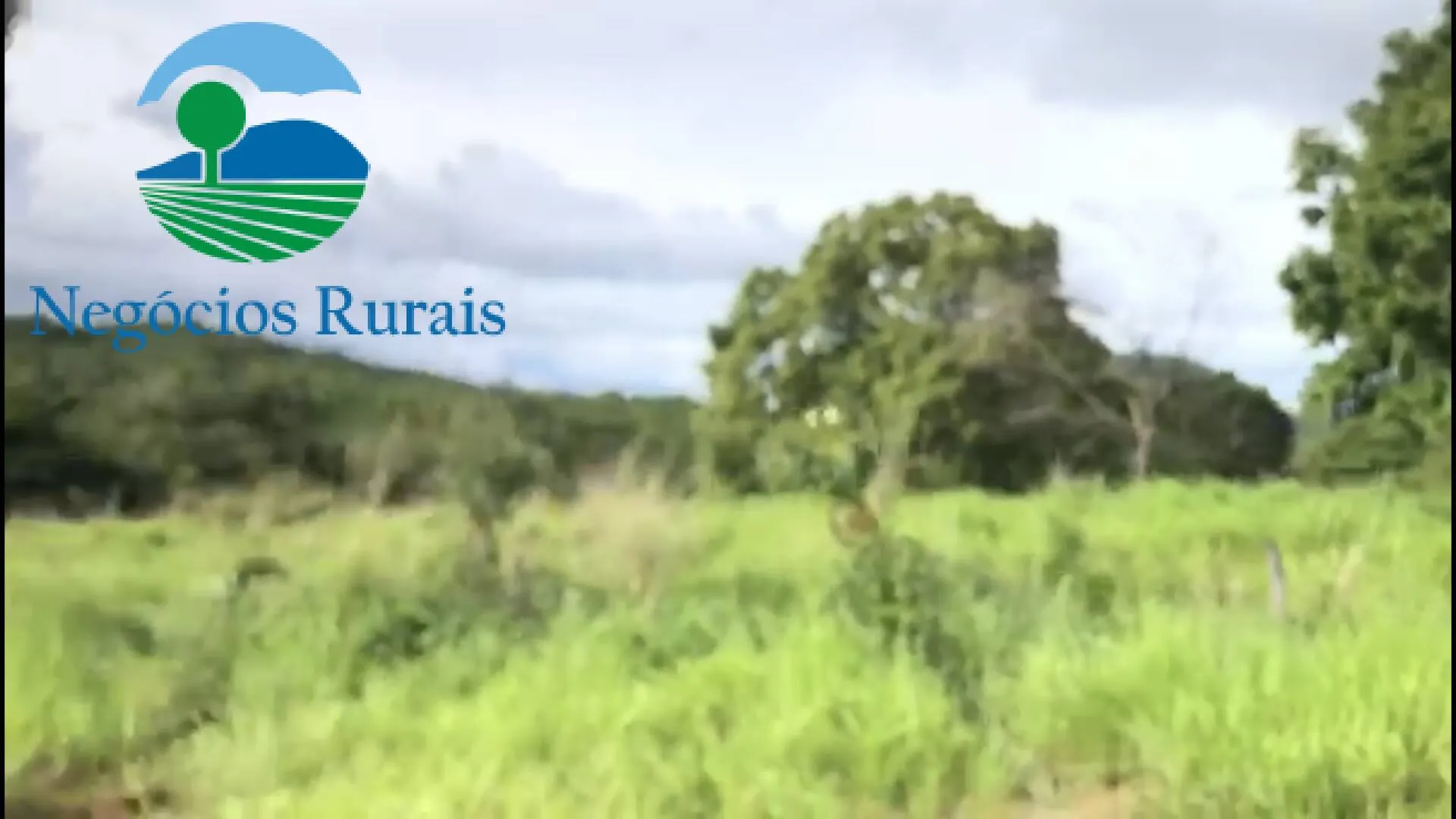 Fazenda à venda de 208 ha em Nova Iguaçu de Goiás, GO, Brasil