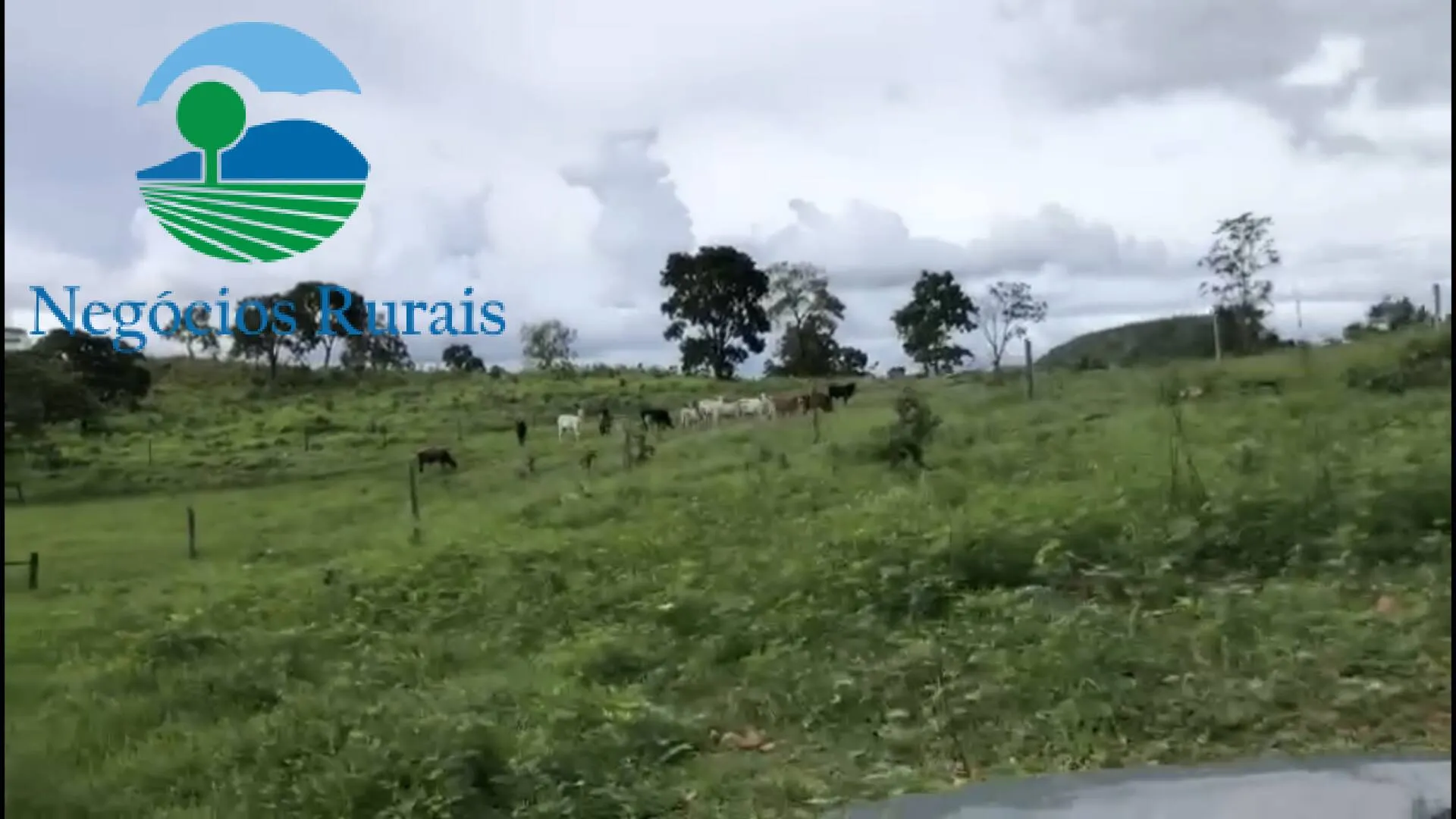 Fazenda à venda de 208 ha em Nova Iguaçu de Goiás, GO, Brasil