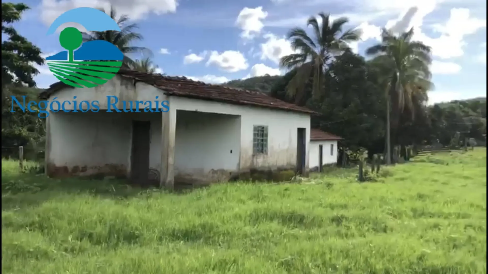 Fazenda à venda de 208 ha em Nova Iguaçu de Goiás, GO, Brasil