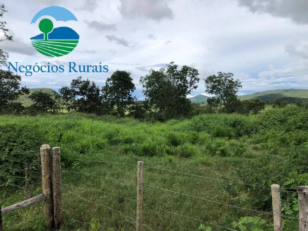 Fazenda à venda de 208 ha em Nova Iguaçu de Goiás, GO, Brasil