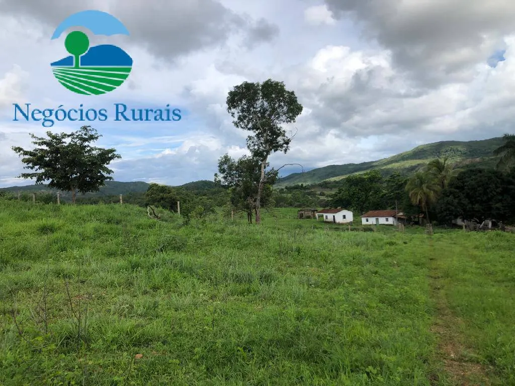Fazenda à venda de 208 ha em Nova Iguaçu de Goiás, GO, Brasil